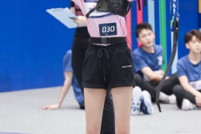 开云体育-赛鸽比赛查询