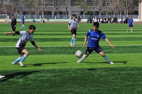 开云体育app-欢乐足球盛宴，球员齐聚赛场争夺荣耀()