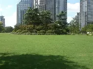 官方网站-包含上海绿地申花再遭困境，陷入连败局面的词条  第1张