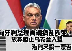 开云官方在线-西班牙德比十大进球  第1张