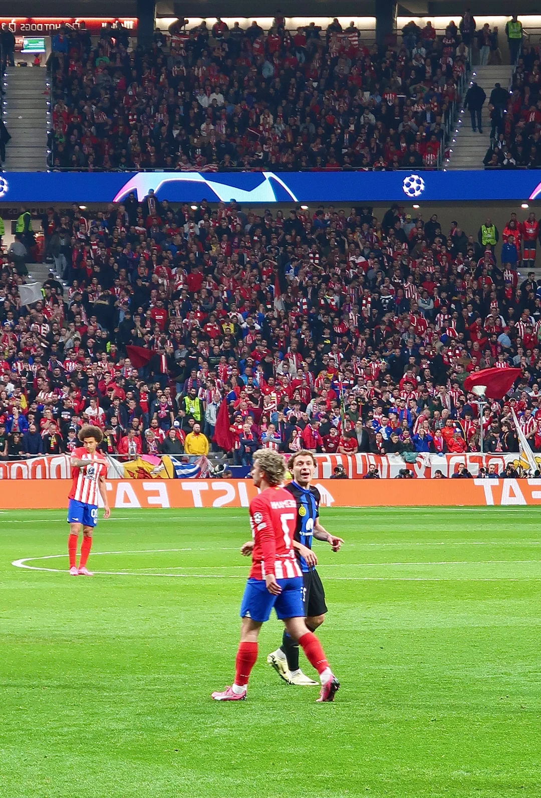 kaiyun app-曼城绝杀晋级，成功挺进欧冠半决赛()  第1张