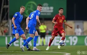 开云（中国）Kaiyun-冰岛队在欧预赛中战胜对手，受到赞誉()  第2张