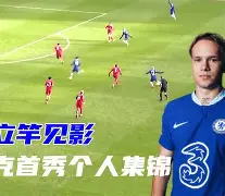 开云体育娱乐app-切尔西中场活跃，助球队斩获胜利()  第1张